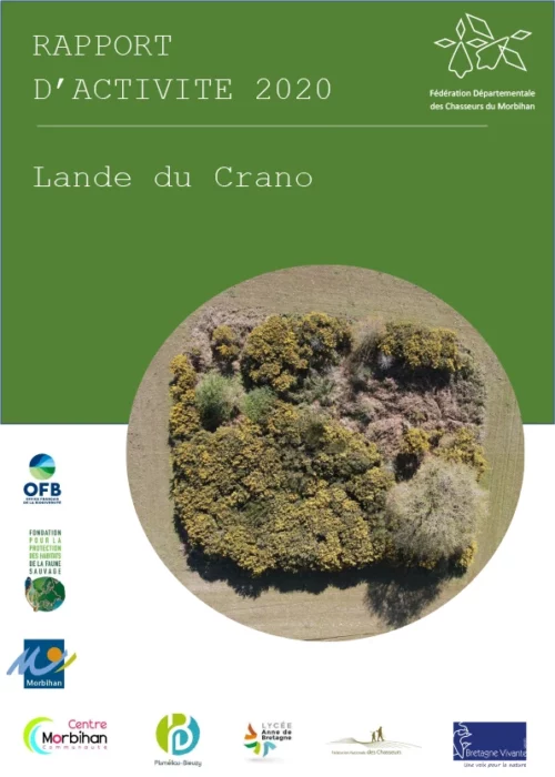 Rapport activités 2020