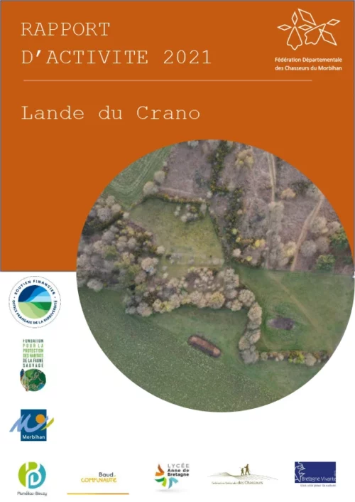 Rapport activités 2021