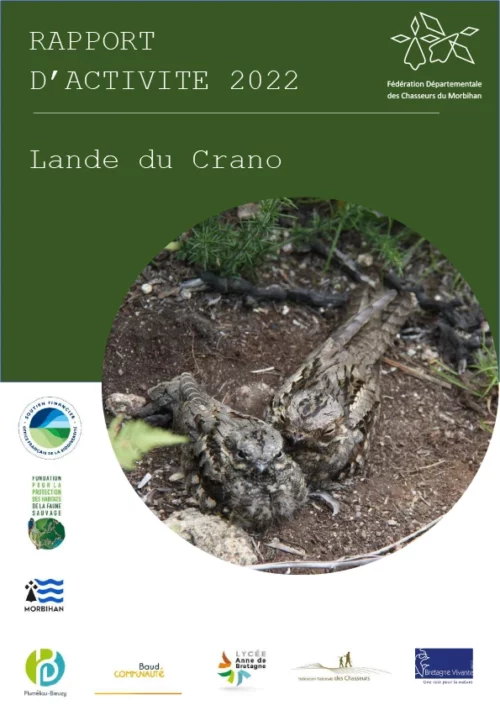 Rapport activités 2022