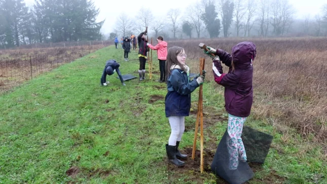 plantation haies bocagères
