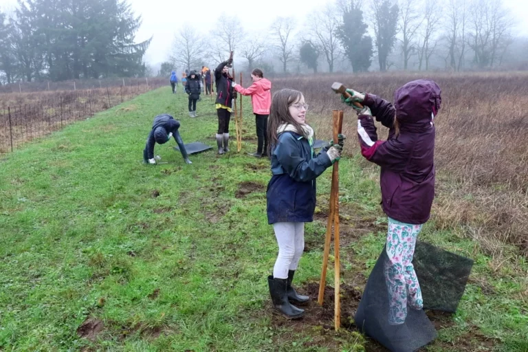 plantation haies bocagères