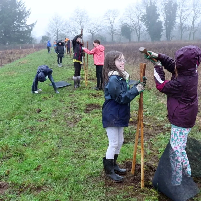 plantation haies bocagères